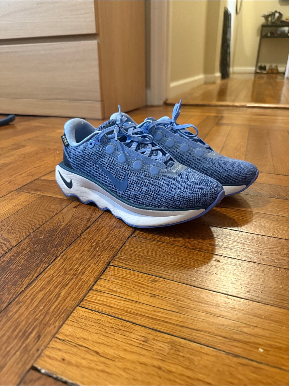 Nike Goretex Motiva Shoes